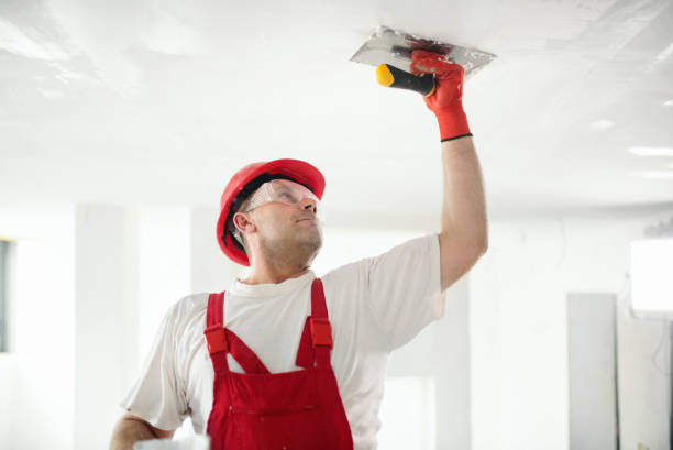 Best Dehumidification Services  in Cedar Hills, OR